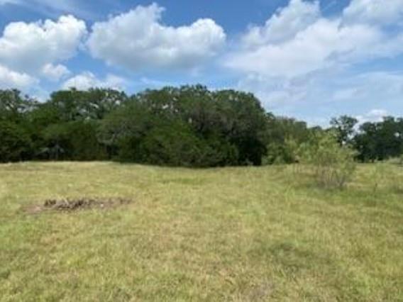 495 Buffalo Creek Drive (Lot 95) Dr, Evant, TX 76525