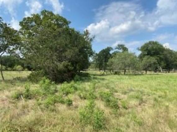495 Buffalo Creek Drive (Lot 95) Dr, Evant, TX 76525