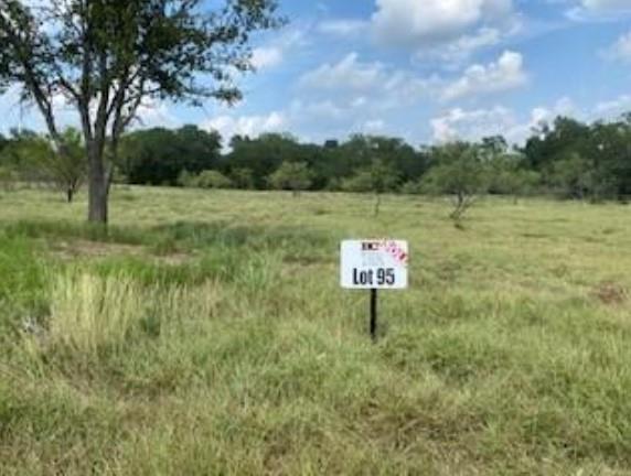 495 Buffalo Creek Drive (Lot 95) Dr, Evant, TX 76525