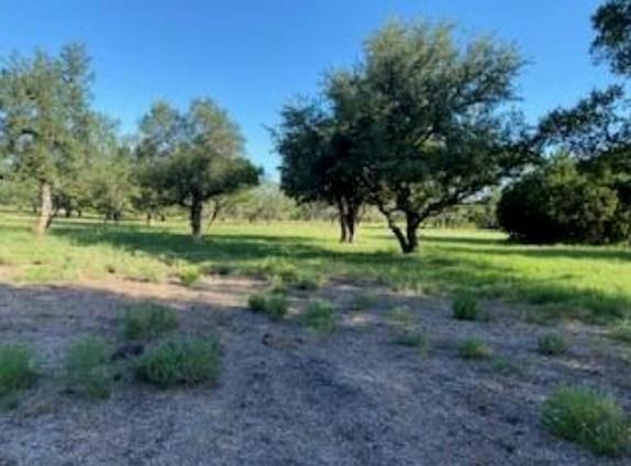 495 Buffalo Creek Drive (Lot 95) Dr, Evant, TX 76525