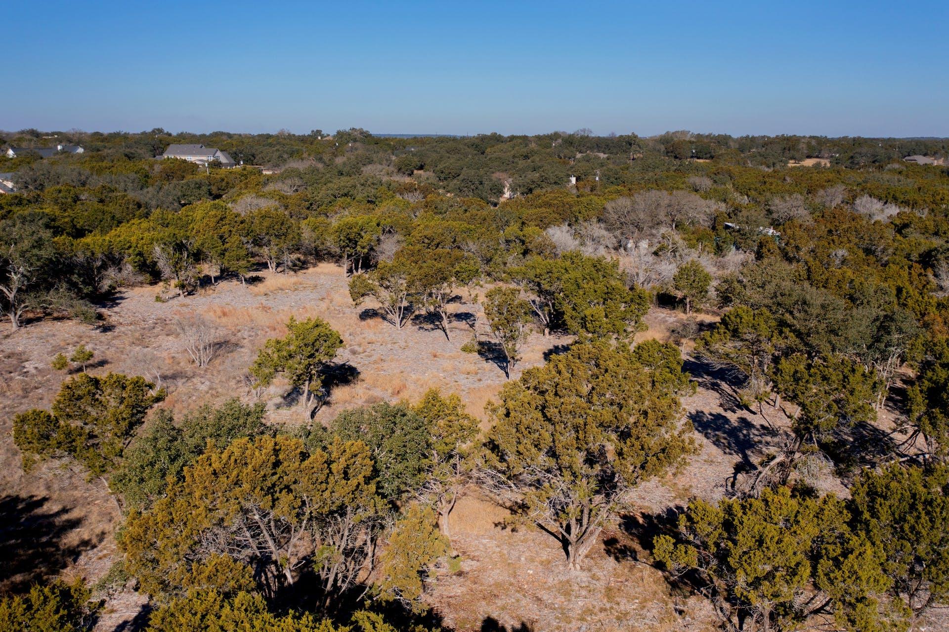 525 W Ridgewood Rd, Georgetown, TX 78633