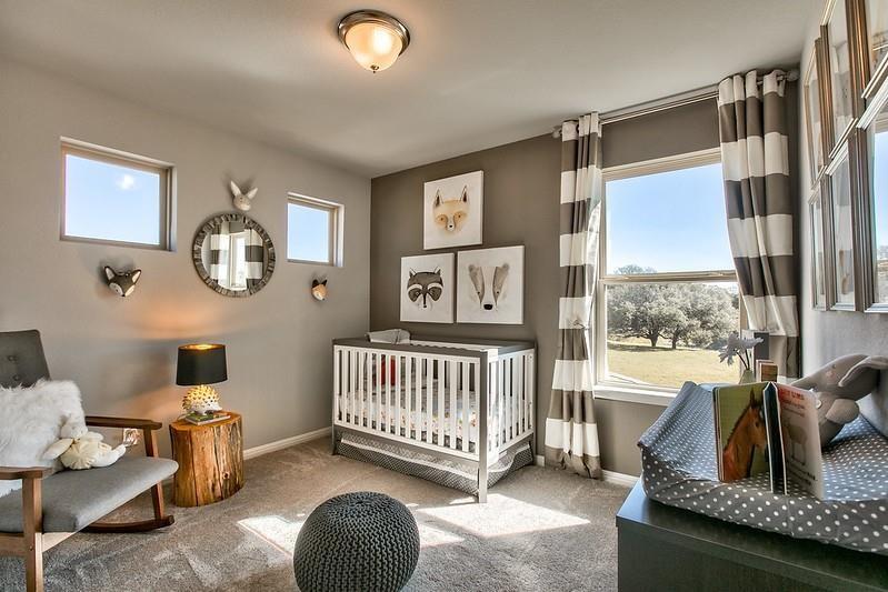 429 Staunton Dr, Leander, TX 78641