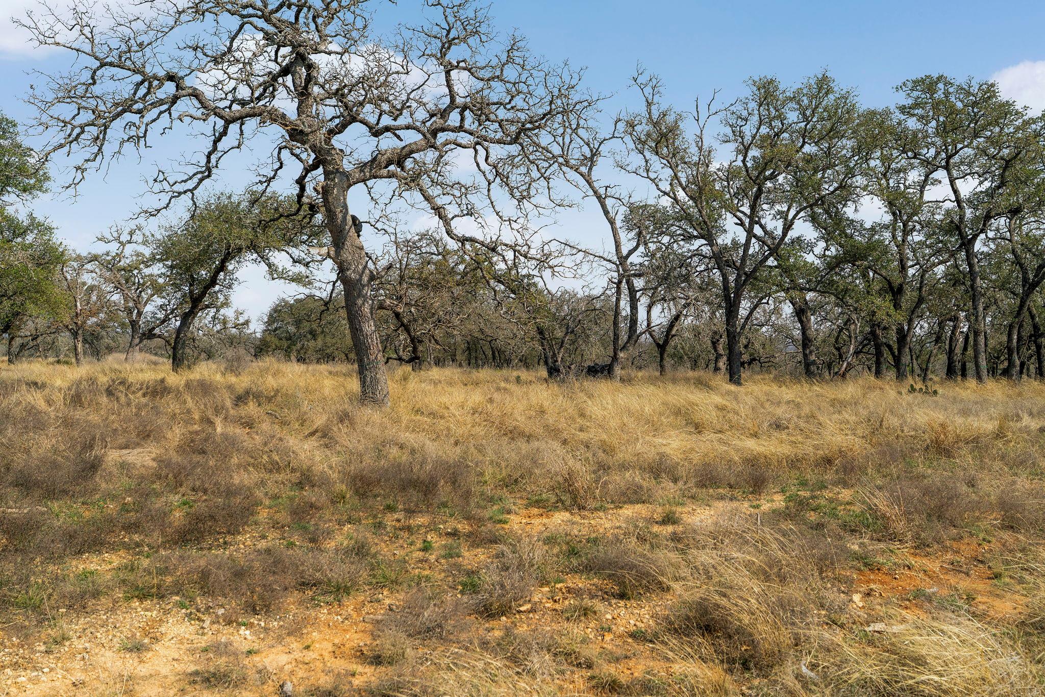 Lot 9 Silas Trl, Fredericksburg, TX 78624