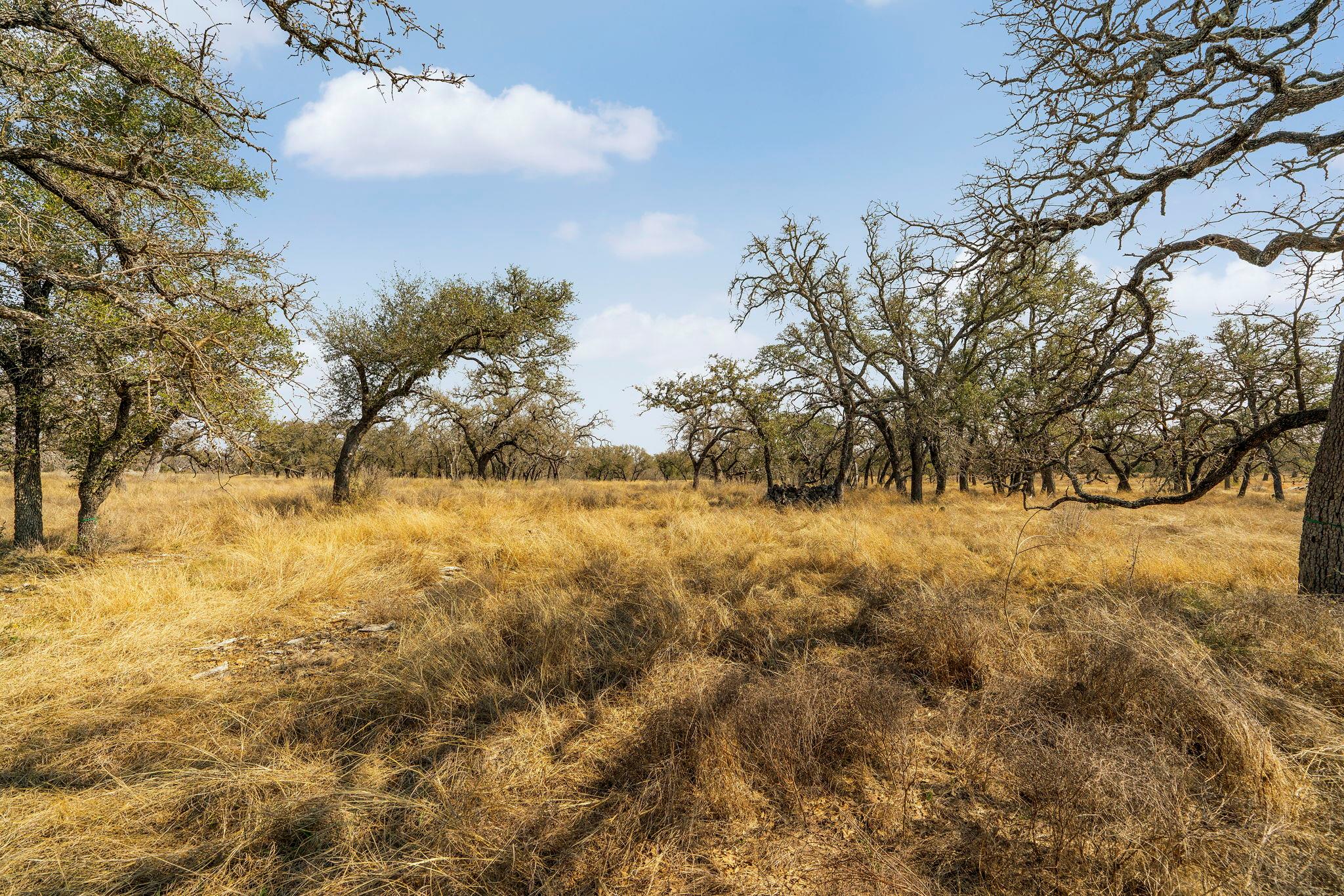 Lot 9 Silas Trl, Fredericksburg, TX 78624