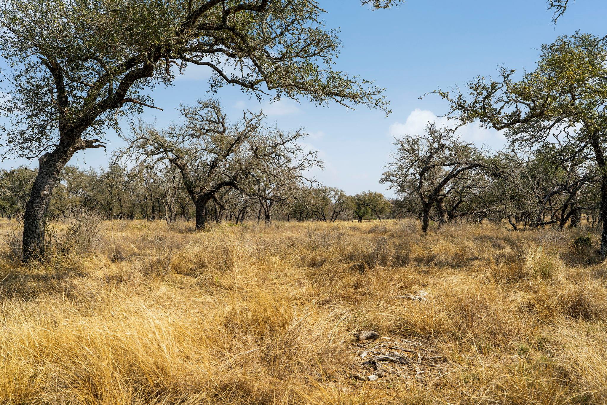 Lot 9 Silas Trl, Fredericksburg, TX 78624