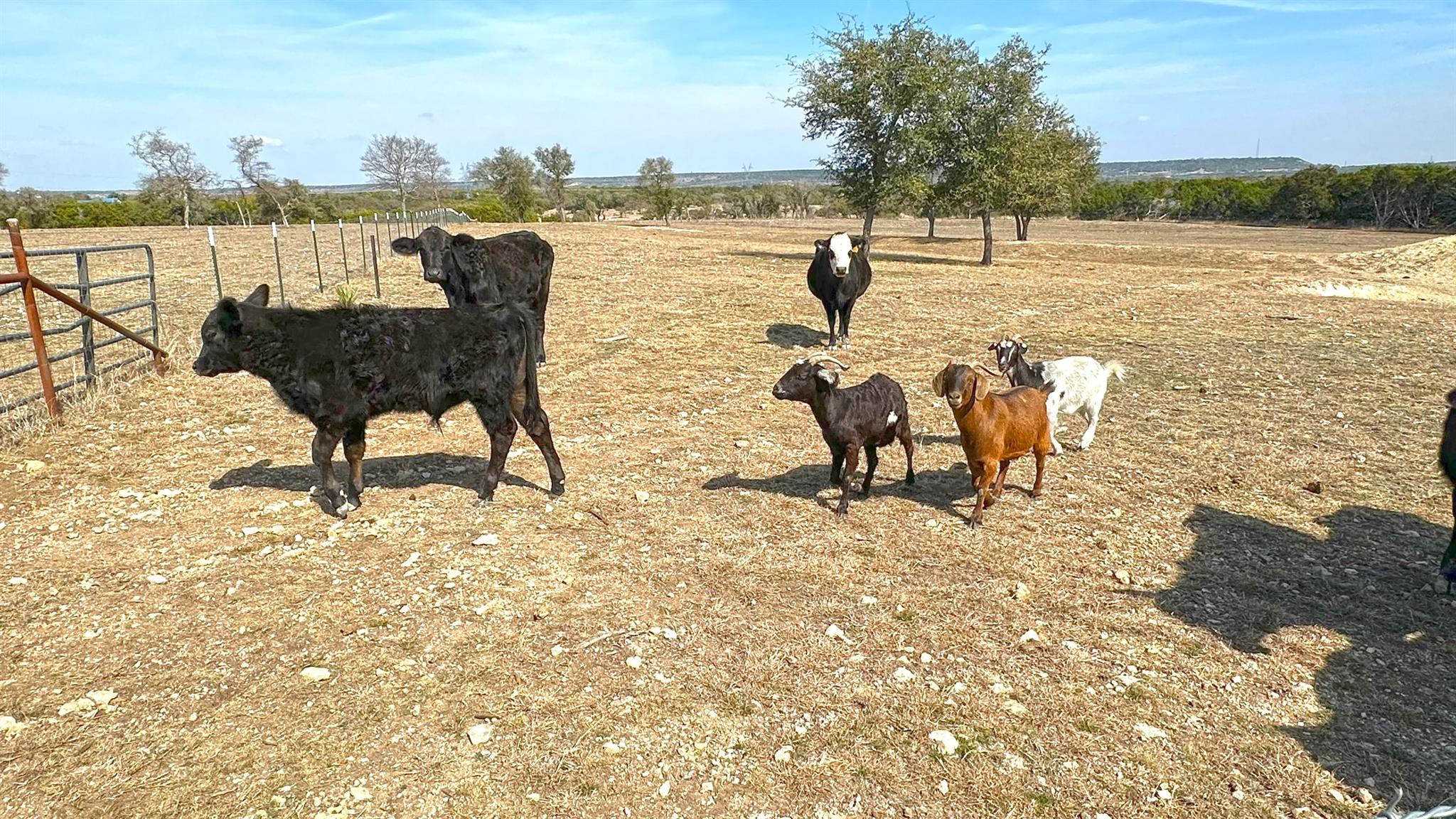 TBD Whitetail Ridge Dr, Kempner, TX 76539