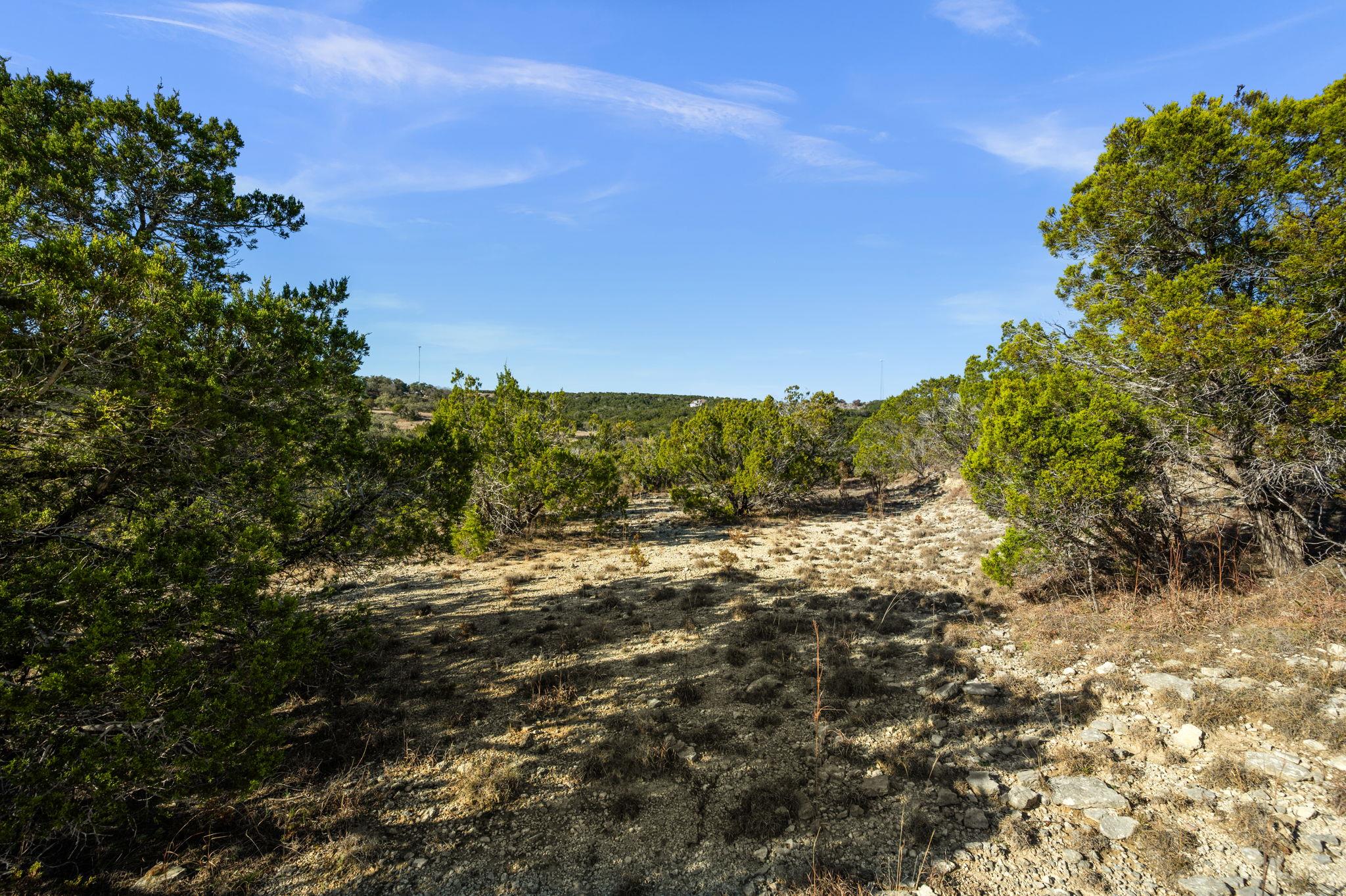 10678 Deer Canyon Rd, Jonestown, TX 78645