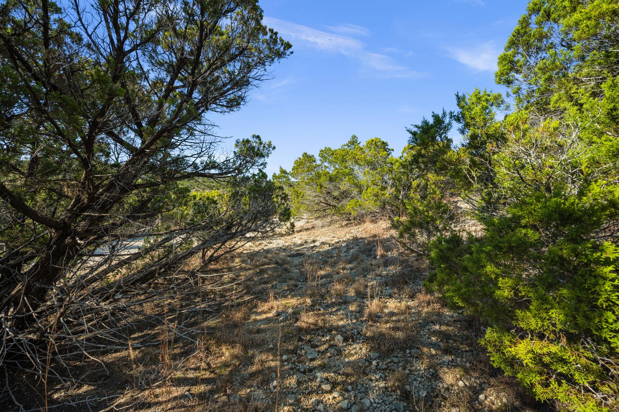 10678 Deer Canyon Rd, Jonestown, TX 78645