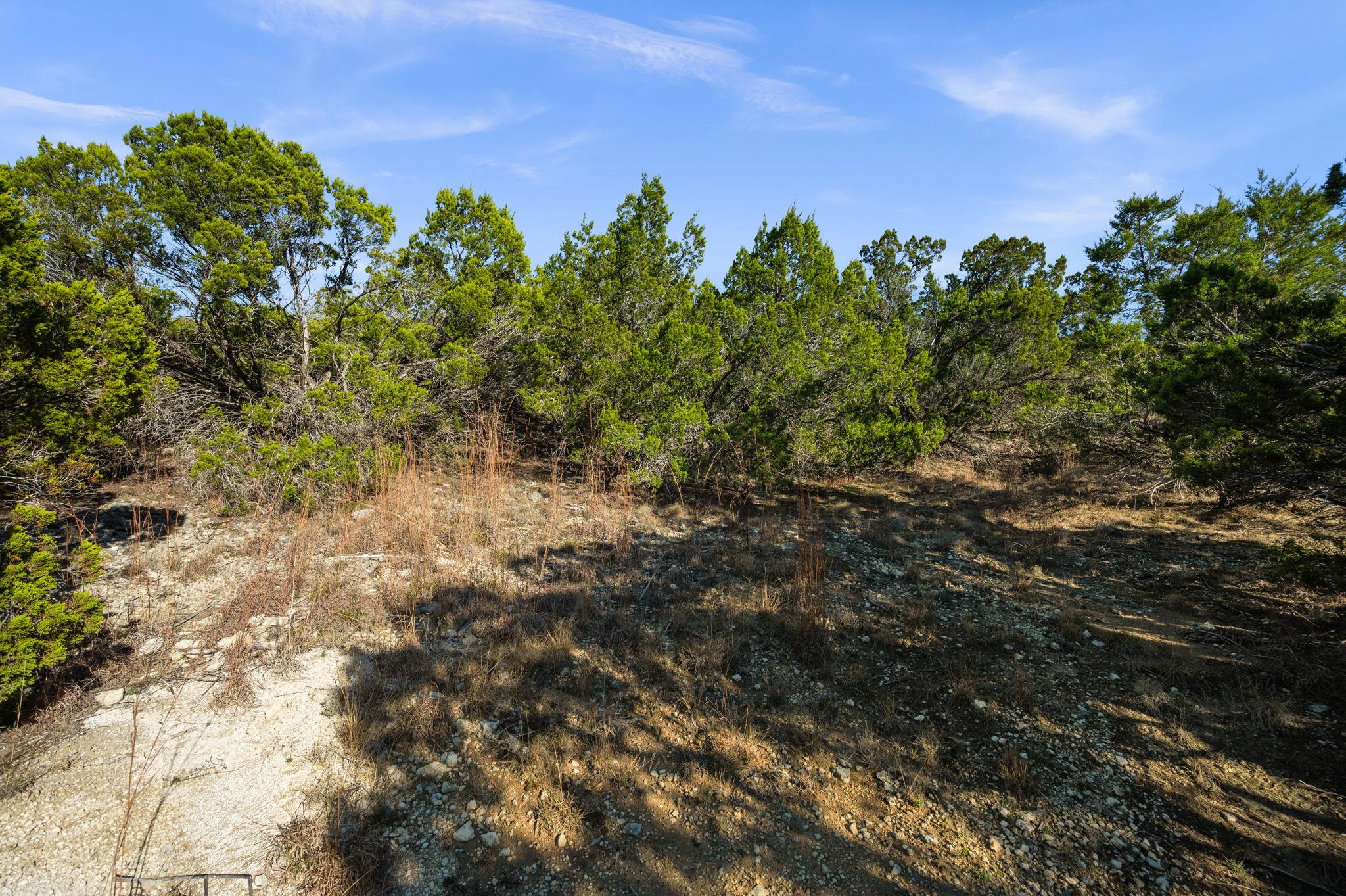 10678 Deer Canyon Rd, Jonestown, TX 78645