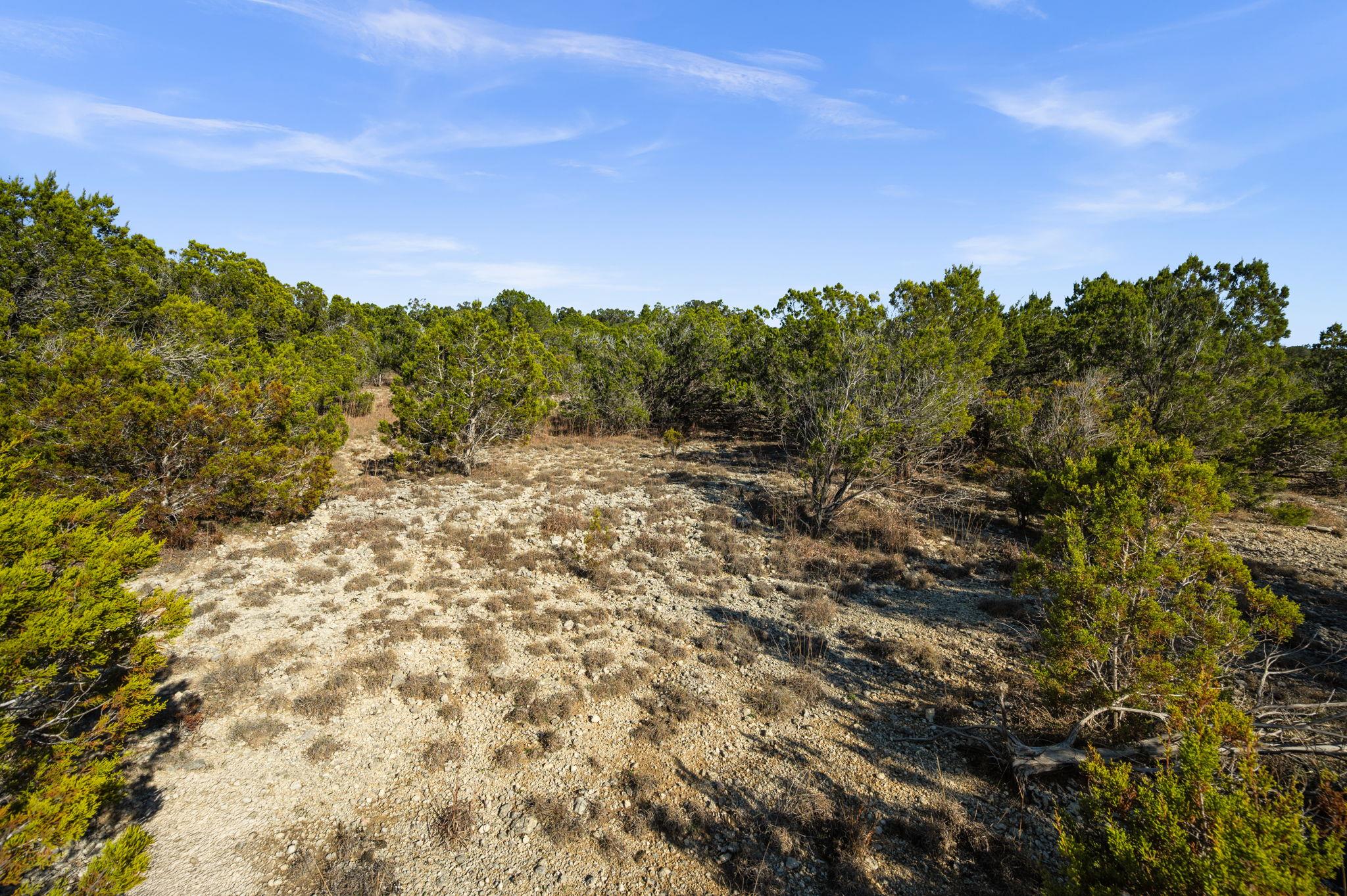 10678 Deer Canyon Rd, Jonestown, TX 78645