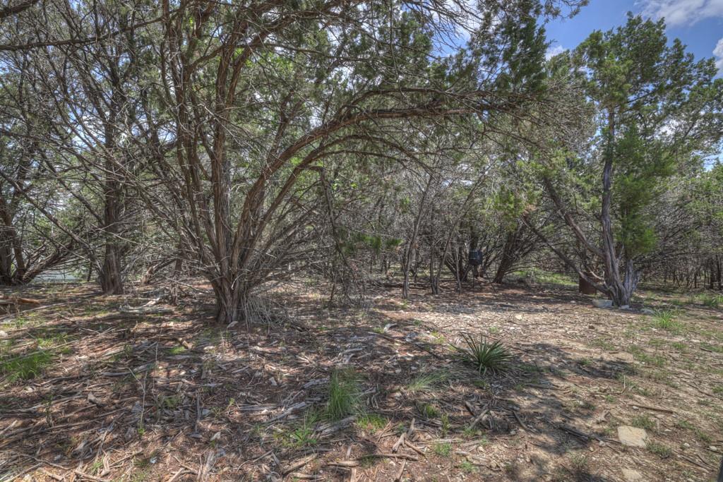 120 Sierra Way Way, Canyon Lake, TX 78133