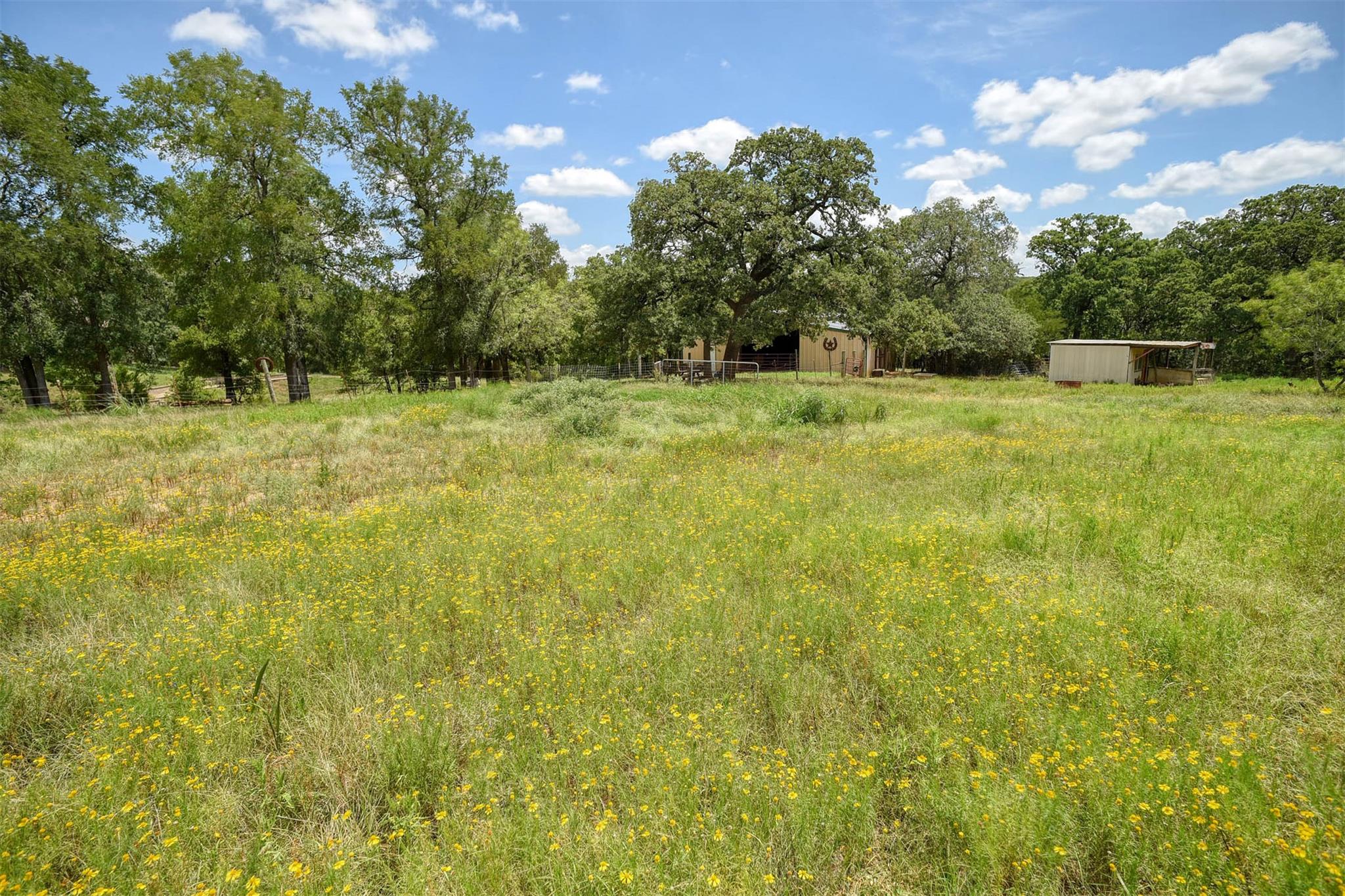 243 Piney Ridge Dr, Bastrop, TX 78602