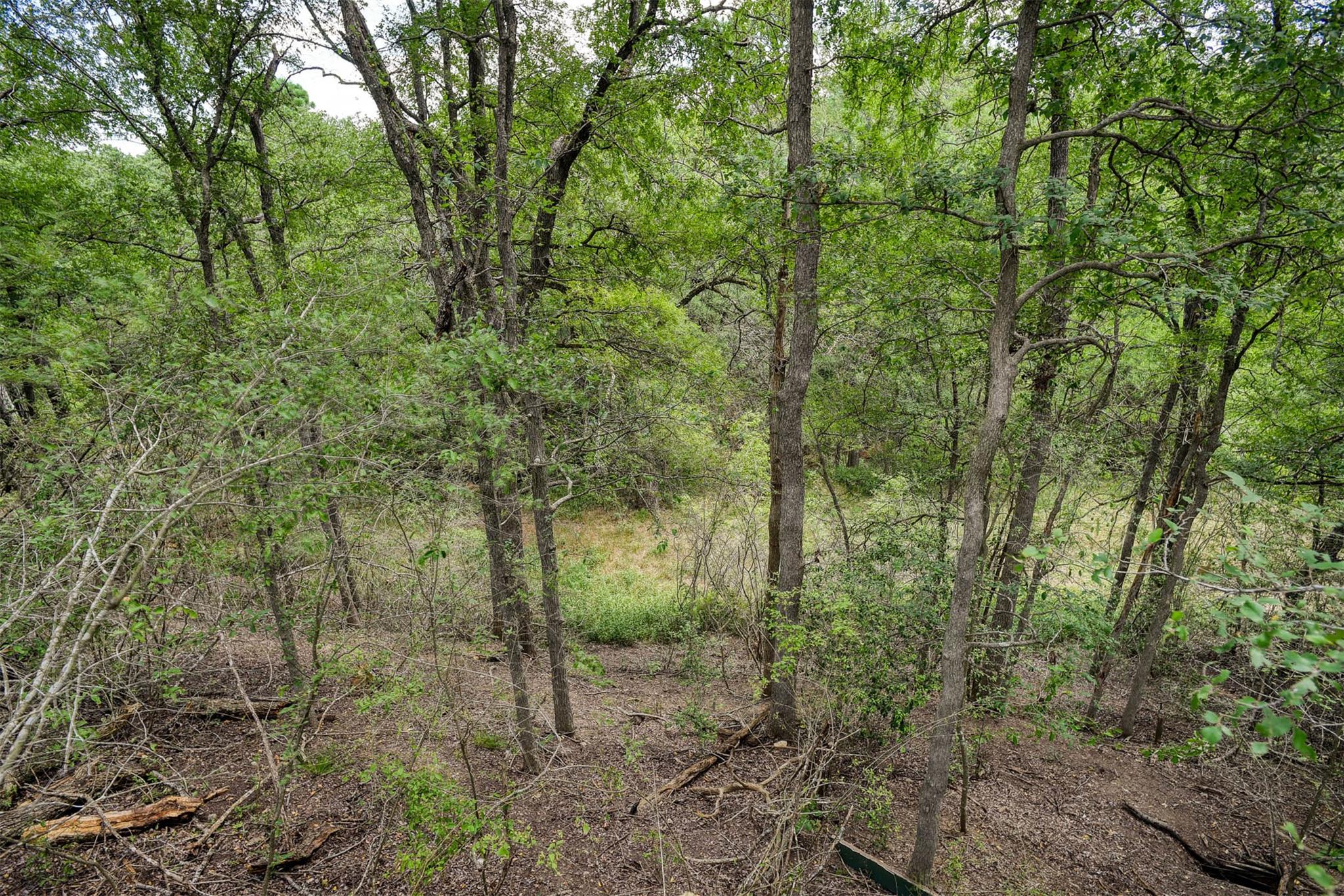243 Piney Ridge Dr, Bastrop, TX 78602