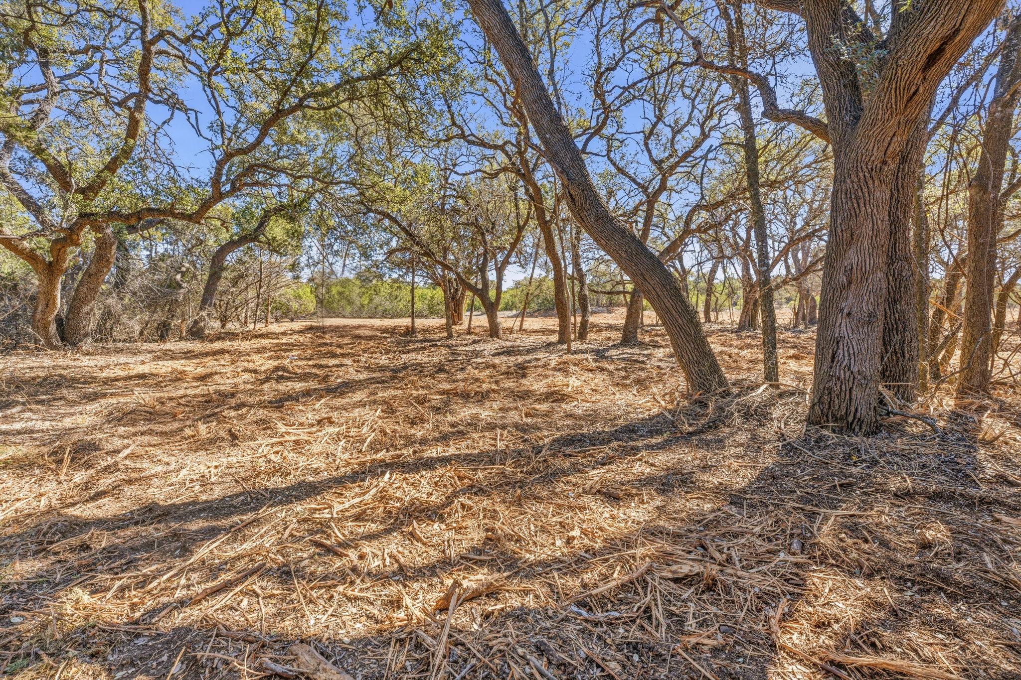 4215 W US 290, Dripping Springs, TX 78620