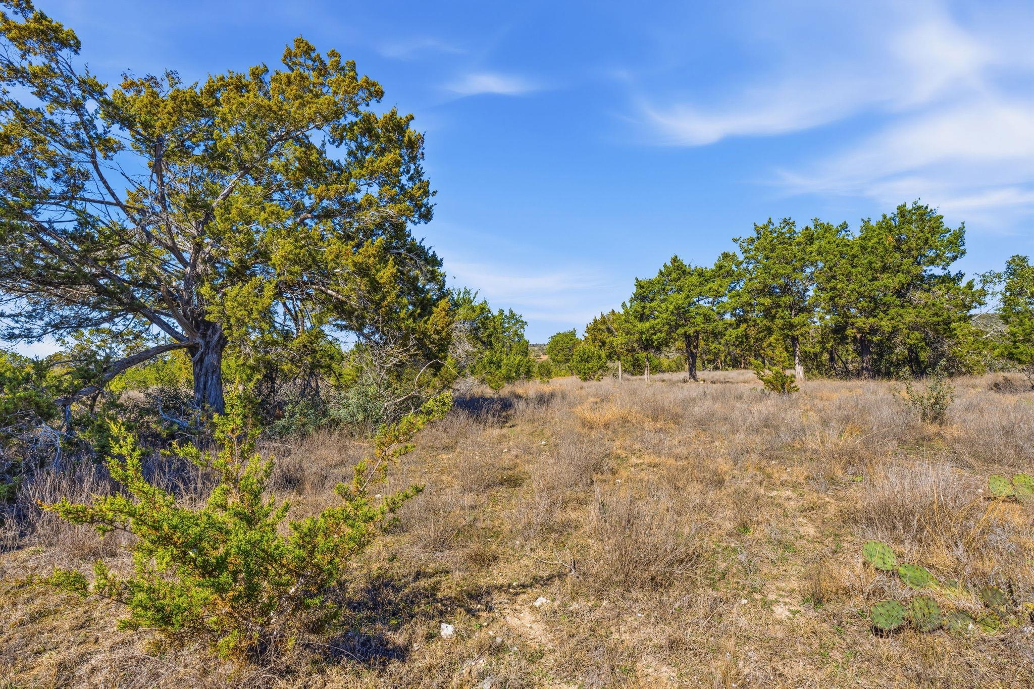 4215 W US 290, Dripping Springs, TX 78620