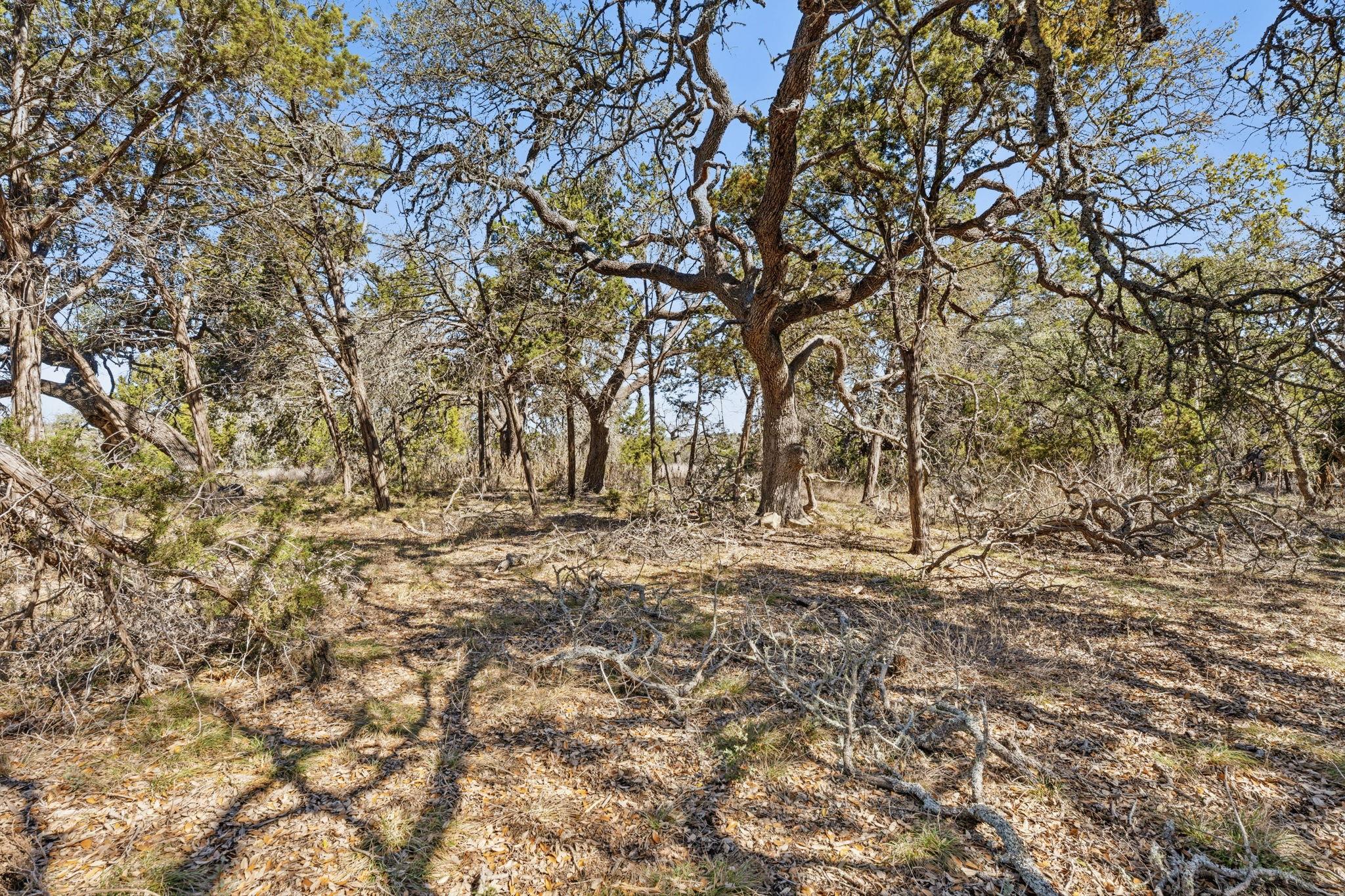 4215 W US 290, Dripping Springs, TX 78620