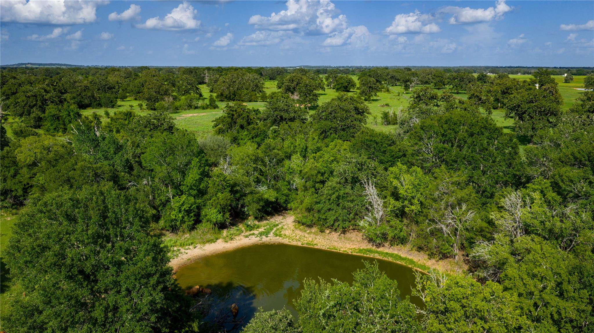 TBD FM 2104, Smithville, TX 78957