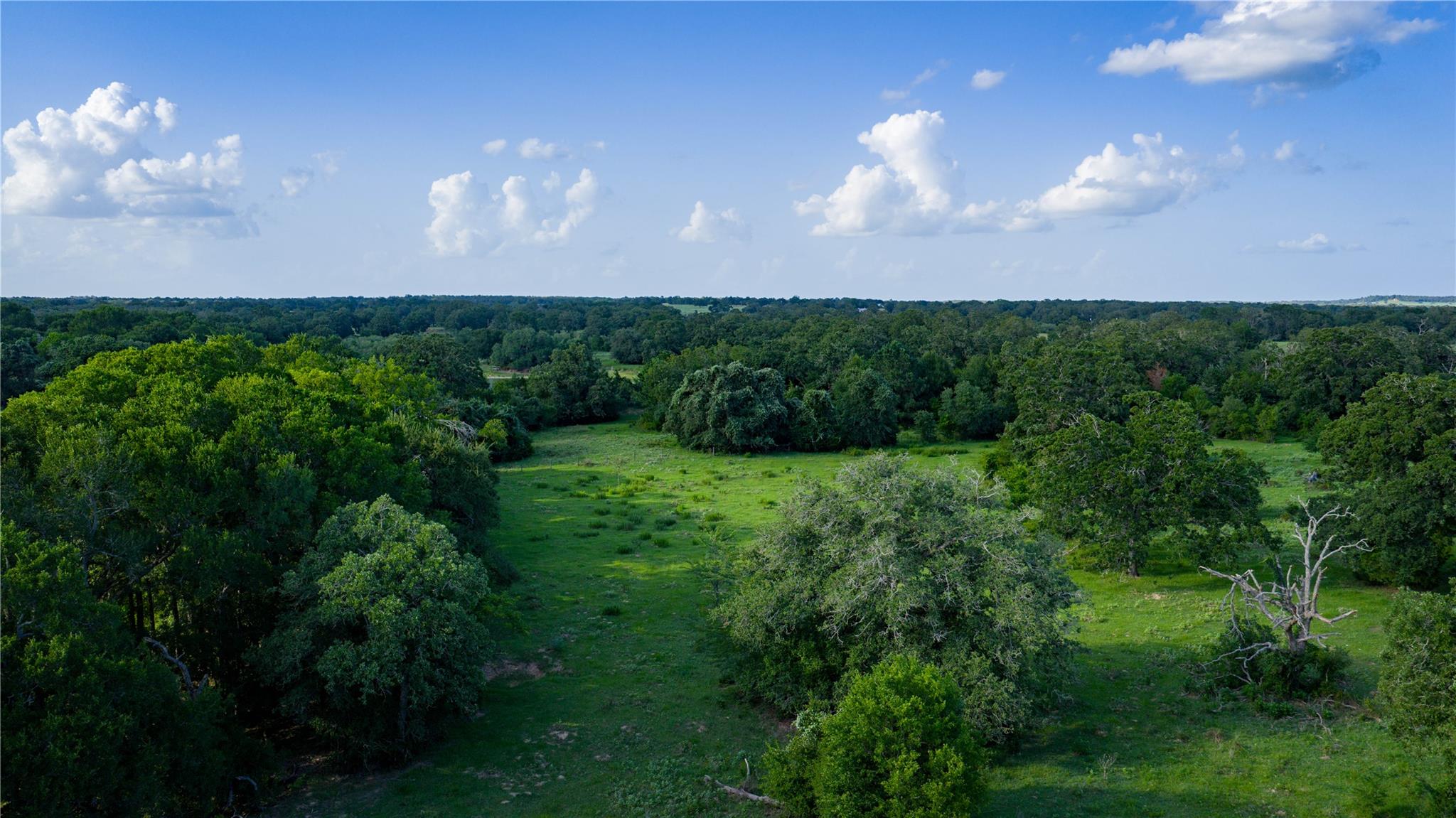 TBD FM 2104, Smithville, TX 78957