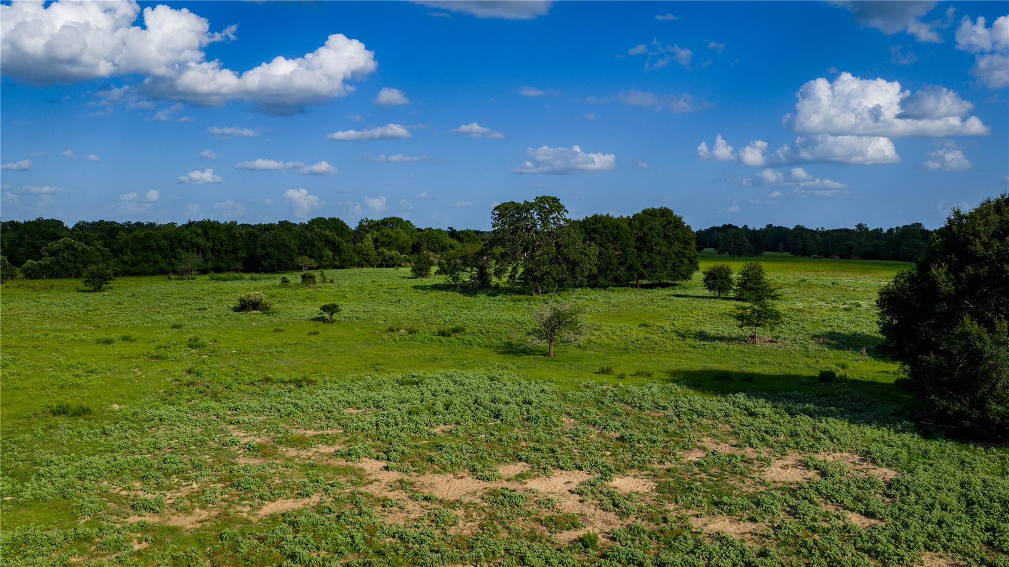 TBD FM 2104, Smithville, TX 78957