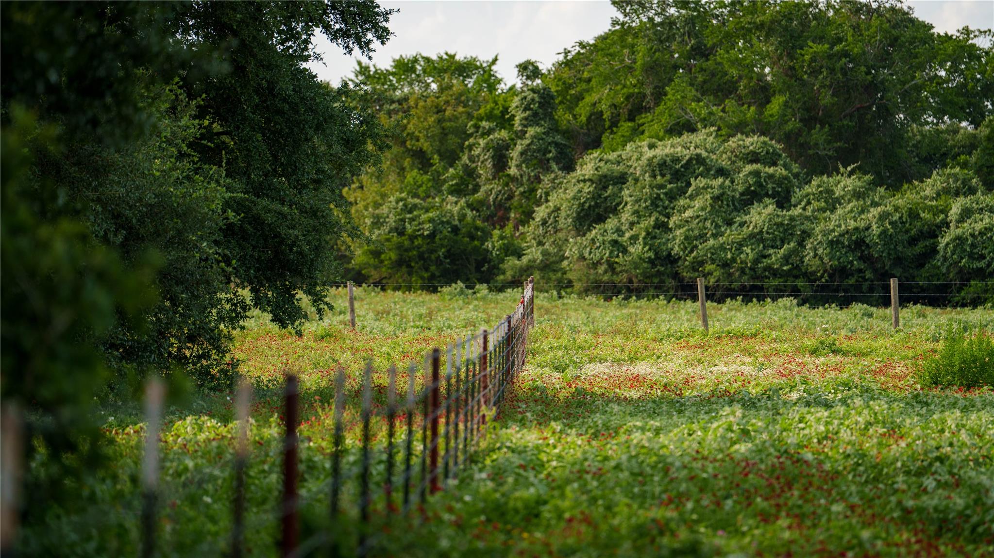 TBD FM 2104, Smithville, TX 78957