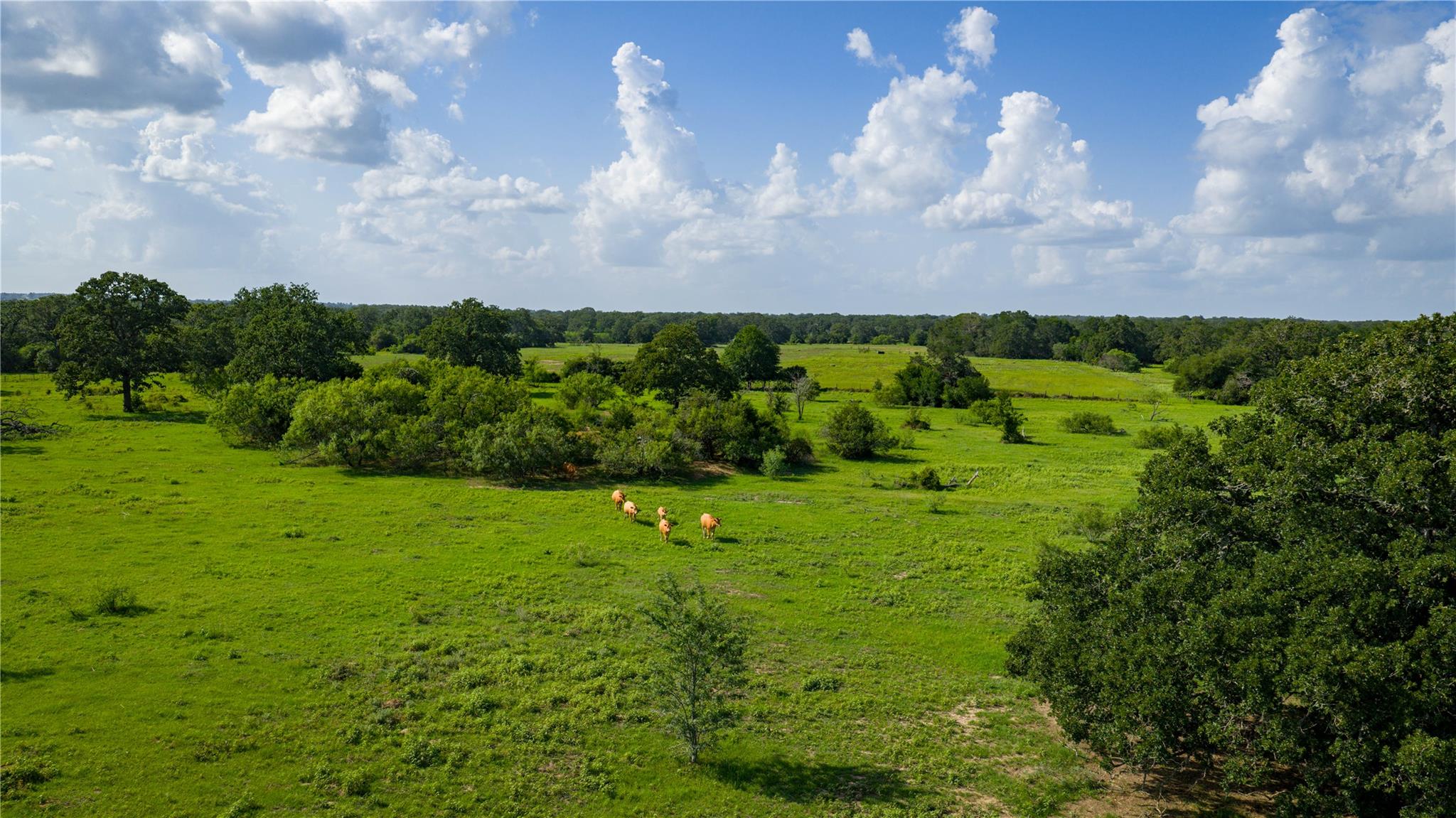 TBD FM 2104, Smithville, TX 78957