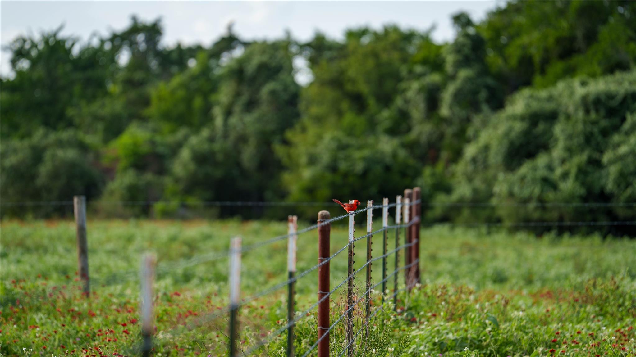 TBD FM 2104, Smithville, TX 78957