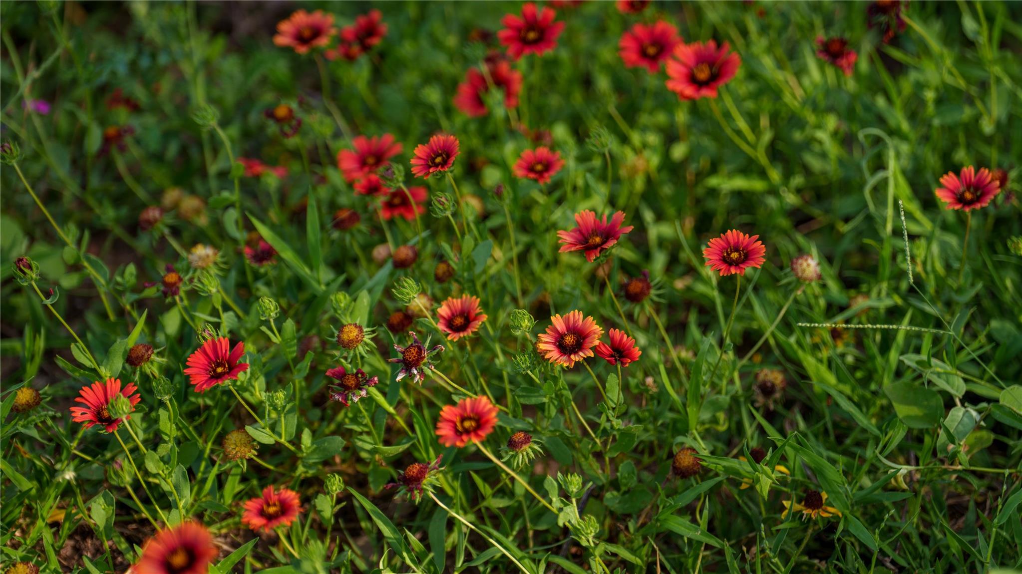 TBD FM 2104, Smithville, TX 78957