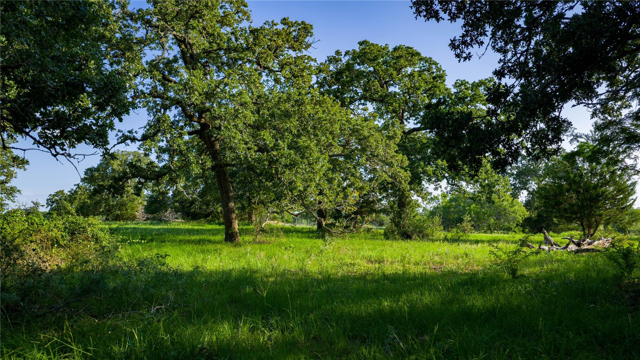 TBD FM 2104, Smithville, TX 78957