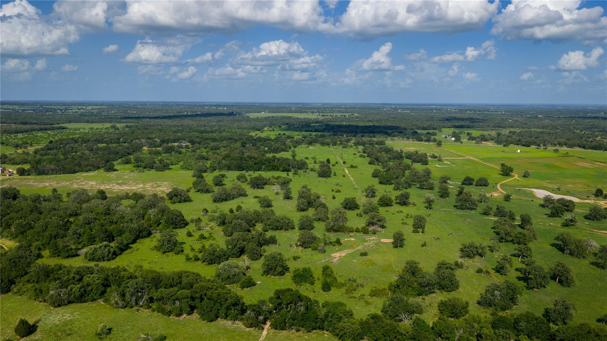 TBD FM 2104, Smithville, TX 78957