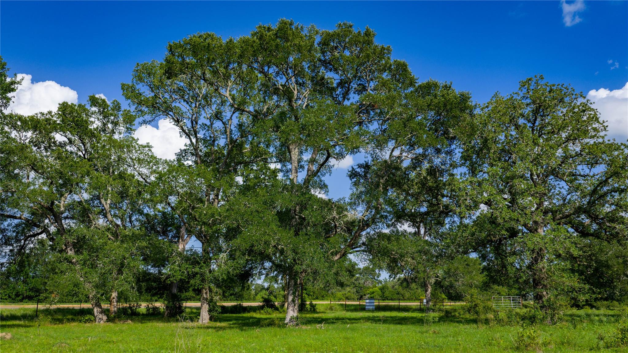 TBD FM 2104, Smithville, TX 78957