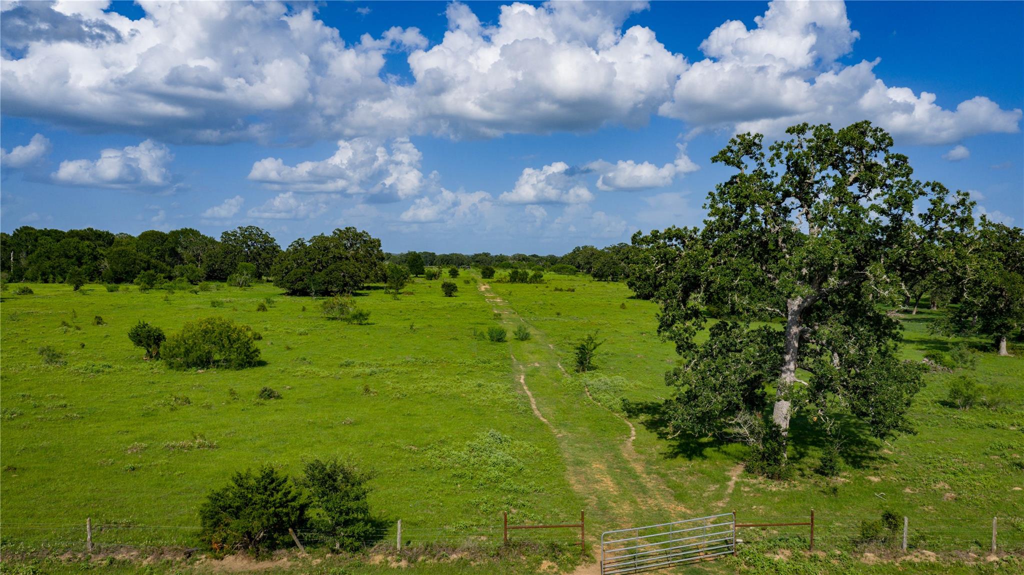 TBD FM 2104, Smithville, TX 78957