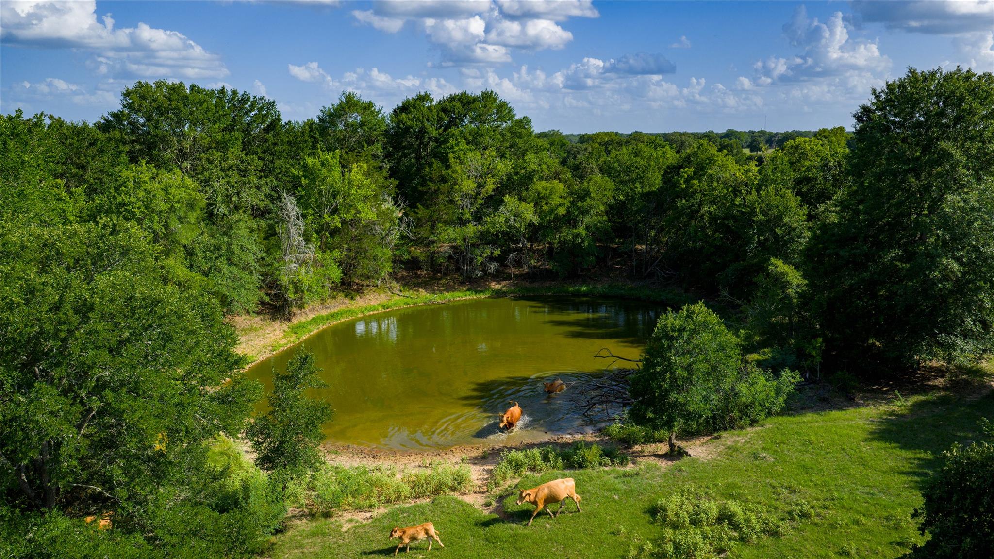 TBD FM 2104, Smithville, TX 78957