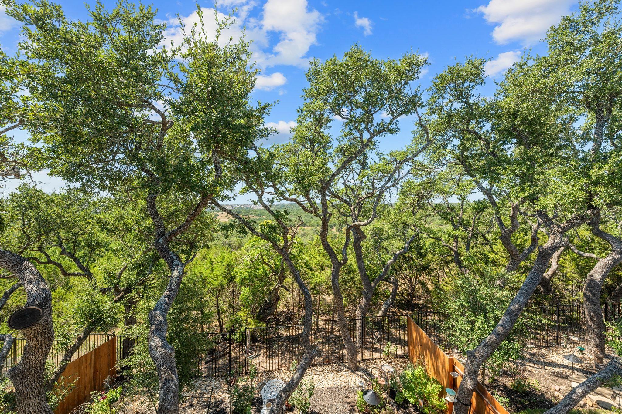 17109 Hattie Trce, Austin, TX 78738