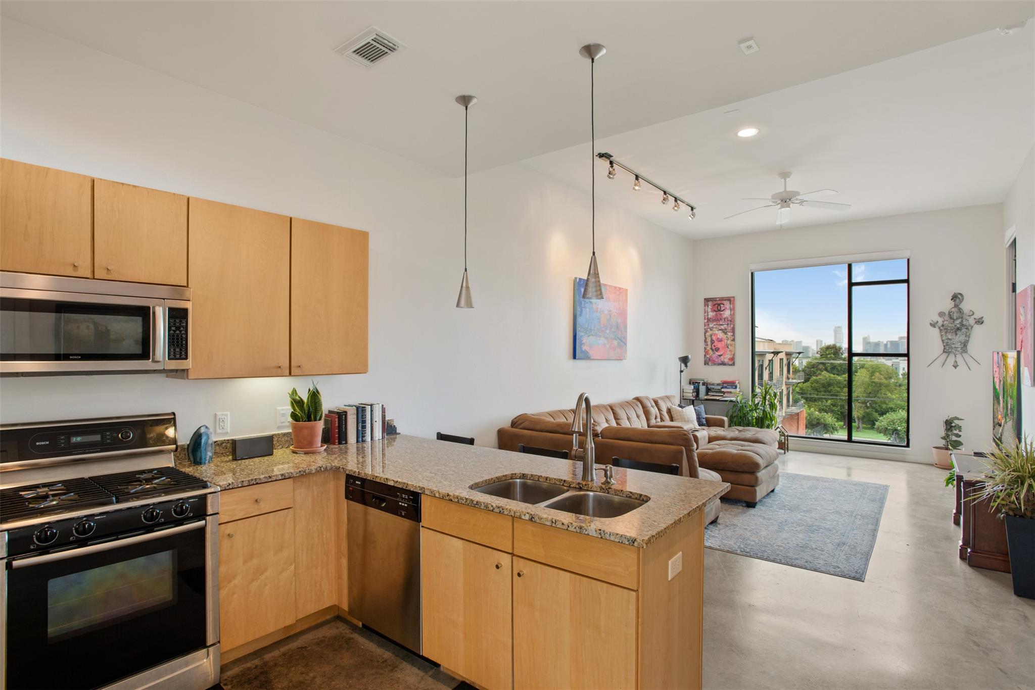 2525 S Lamar # 309, Austin, TX 78704