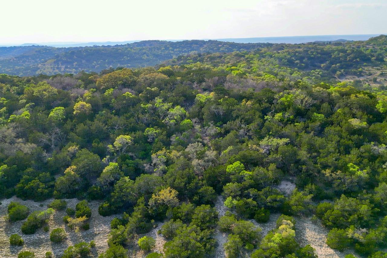 218 Saddle Wood Trl, Comfort, TX 78013