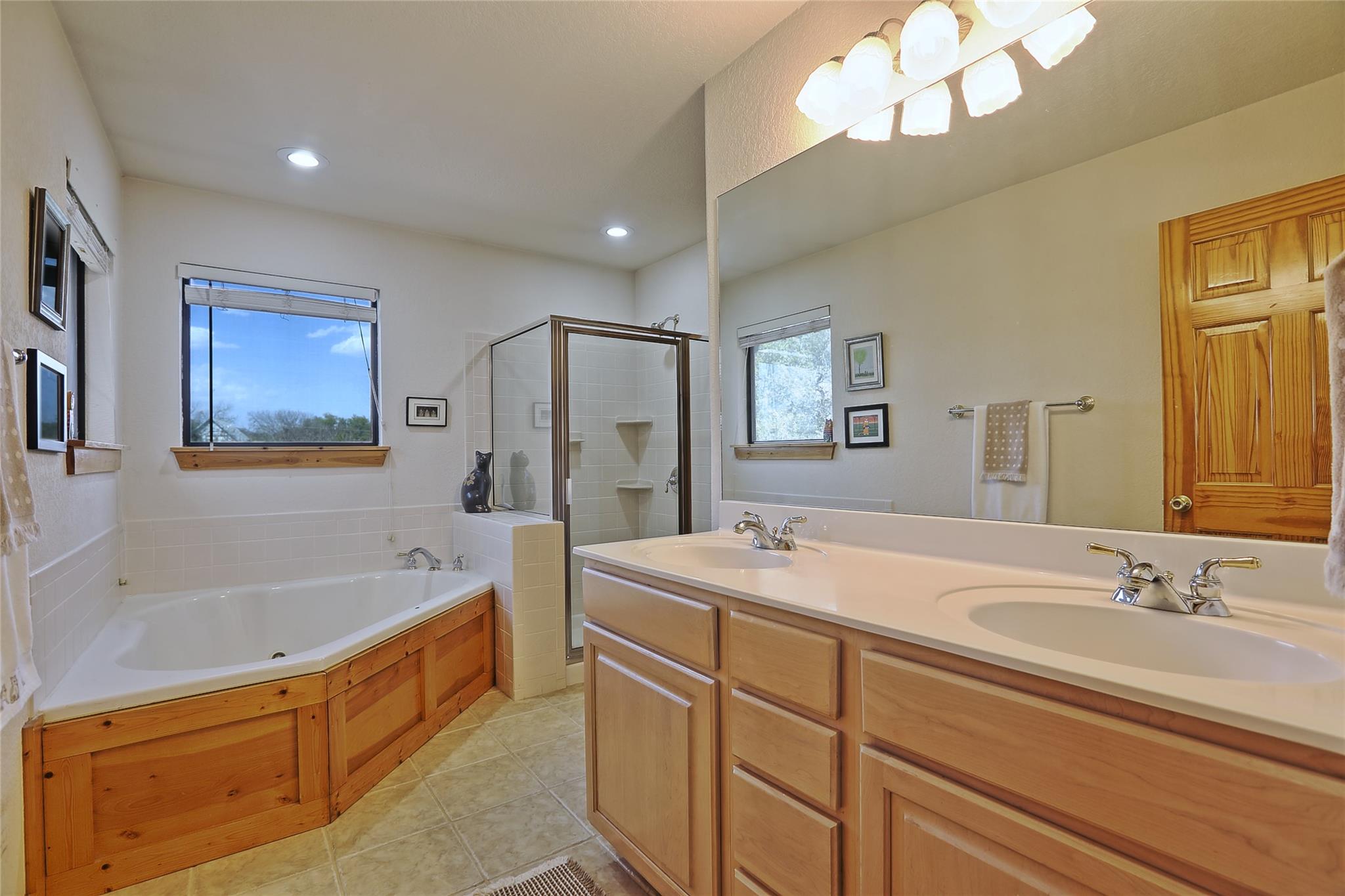 601 Echo Dr, Spicewood, TX 78669