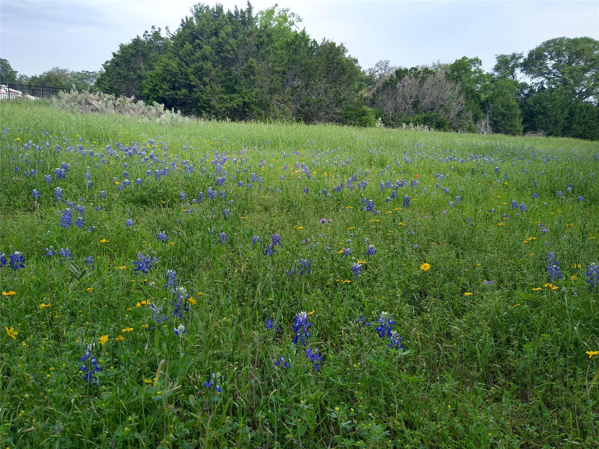 75 Four T Ranch Rd, Georgetown, TX 78633