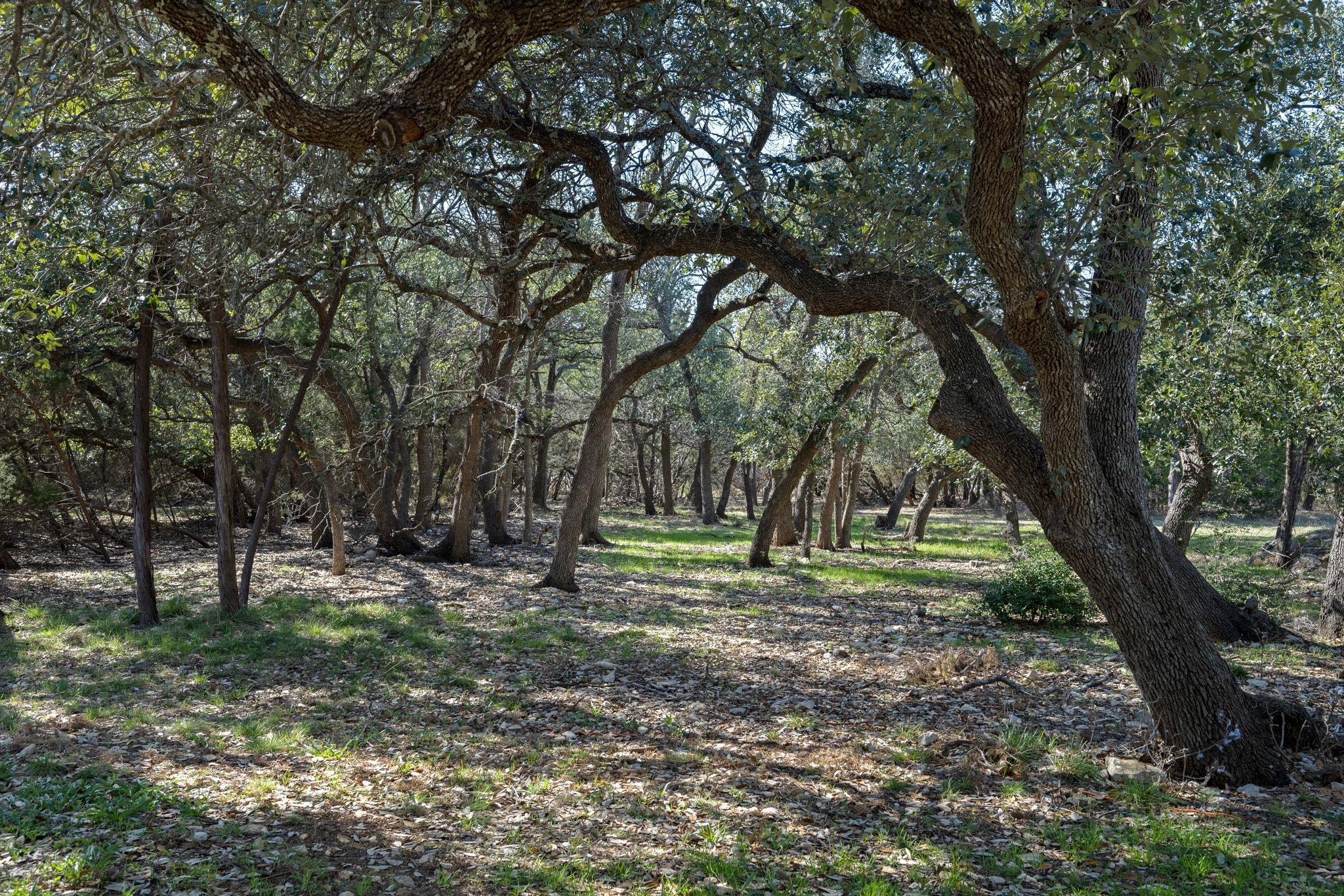 75 Four T Ranch Rd, Georgetown, TX 78633