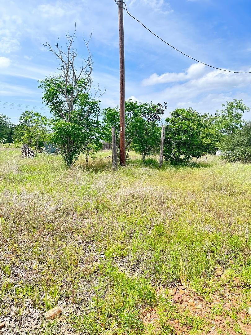 136 Wild Bird Loop, Smithville, TX 78957