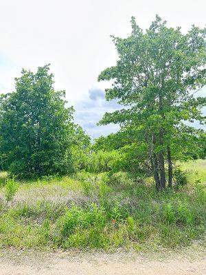 136 Wild Bird Loop, Smithville, TX 78957