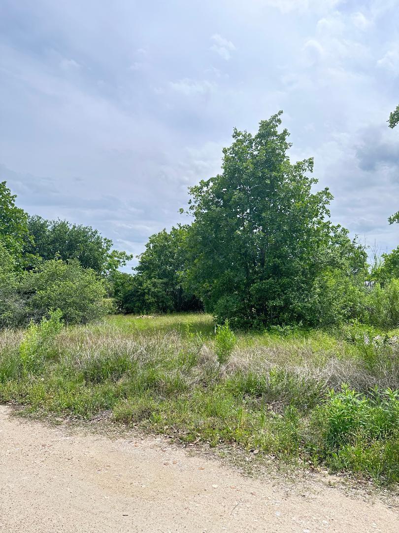 138 Wild Bird Loop, Smithville, TX 78957
