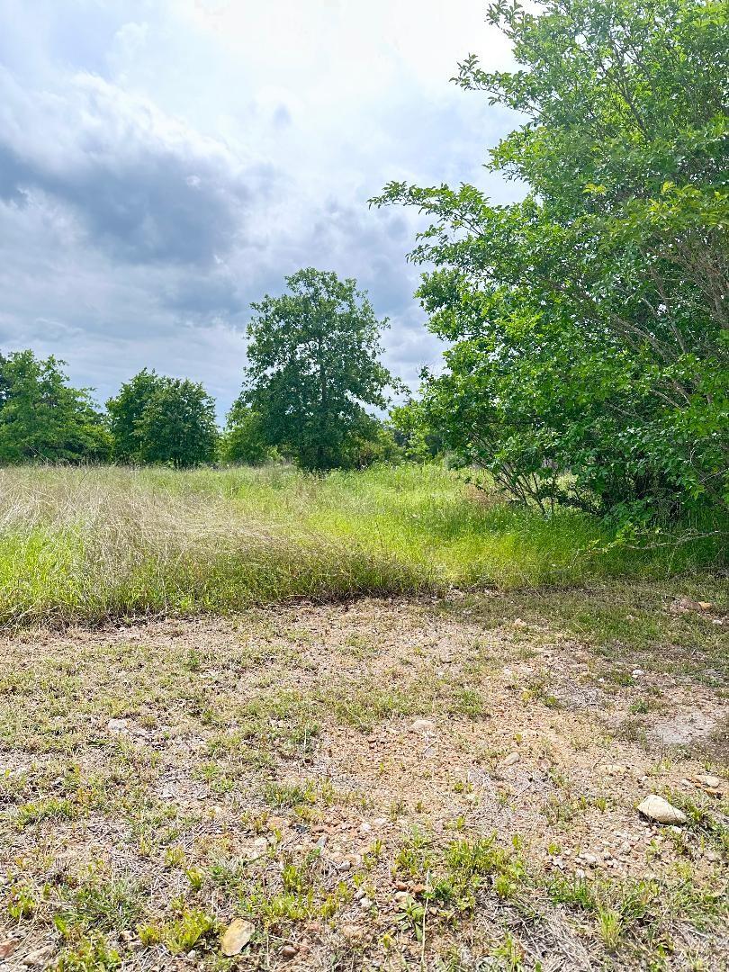 126 Wild Bird Loop, Smithville, TX 78957