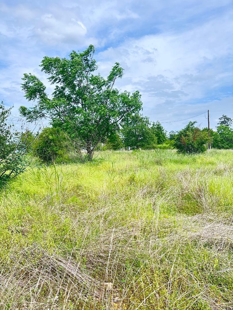 126 Wild Bird Loop, Smithville, TX 78957
