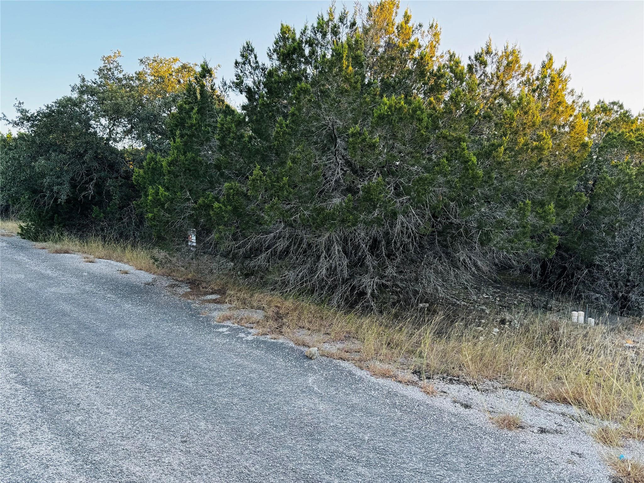 21448 Santa Rosa Ave, Lago Vista, TX 78645