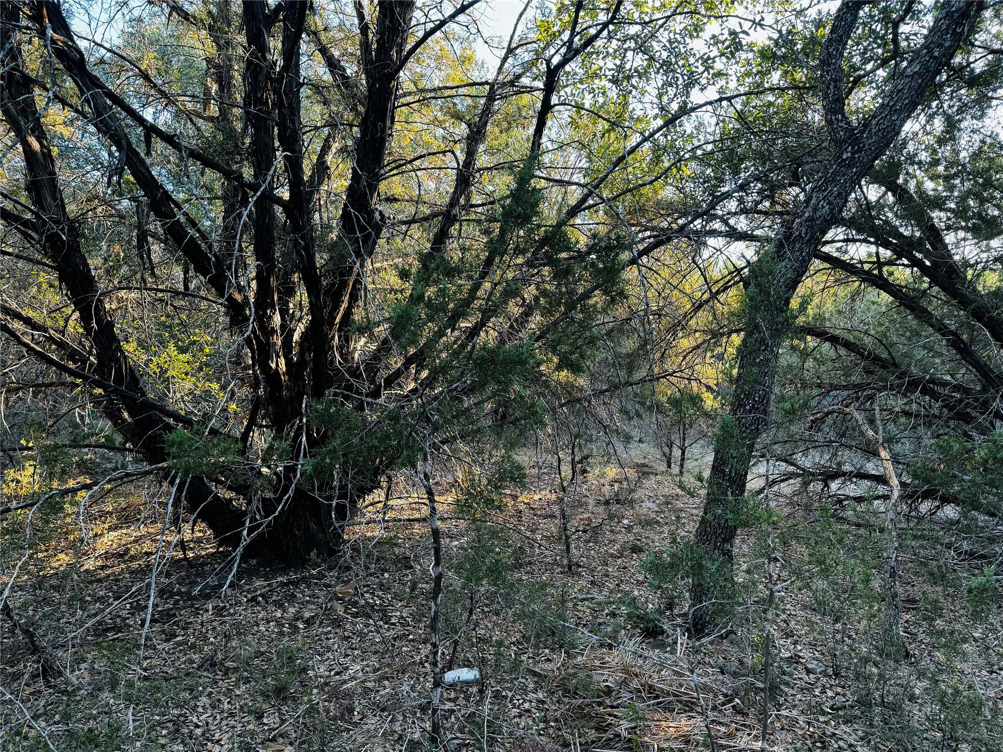 21448 Santa Rosa Ave, Lago Vista, TX 78645