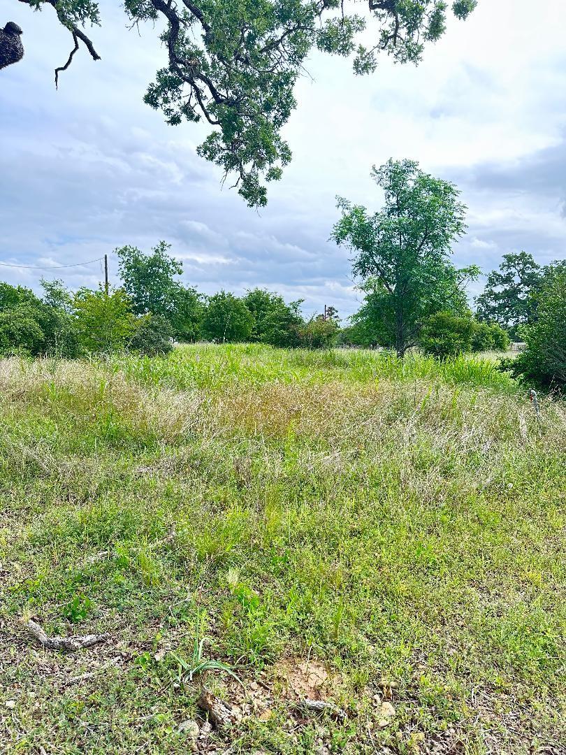 136A Wild Bird Loop, Smithville, TX 78957