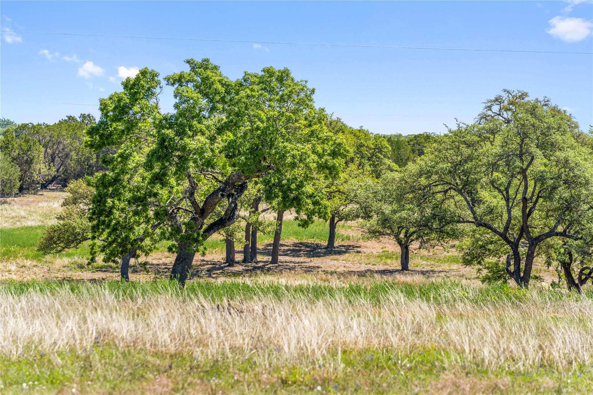 784 Ranch Road 2721, Johnson City, TX 78636