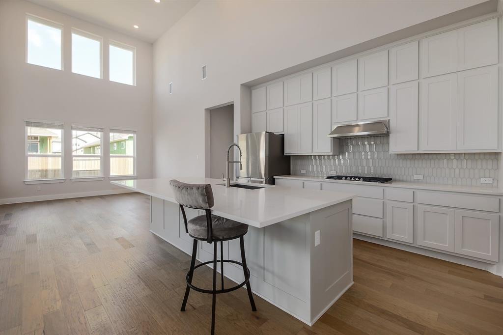 20028 CRESTED CARACARA Ln, Pflugerville, TX 78660