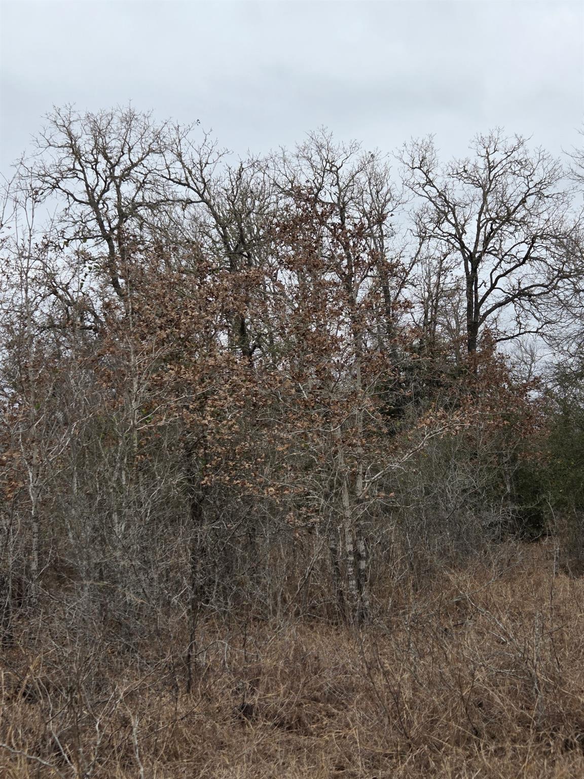 1065 Private Road 7041, Elgin, TX 78621