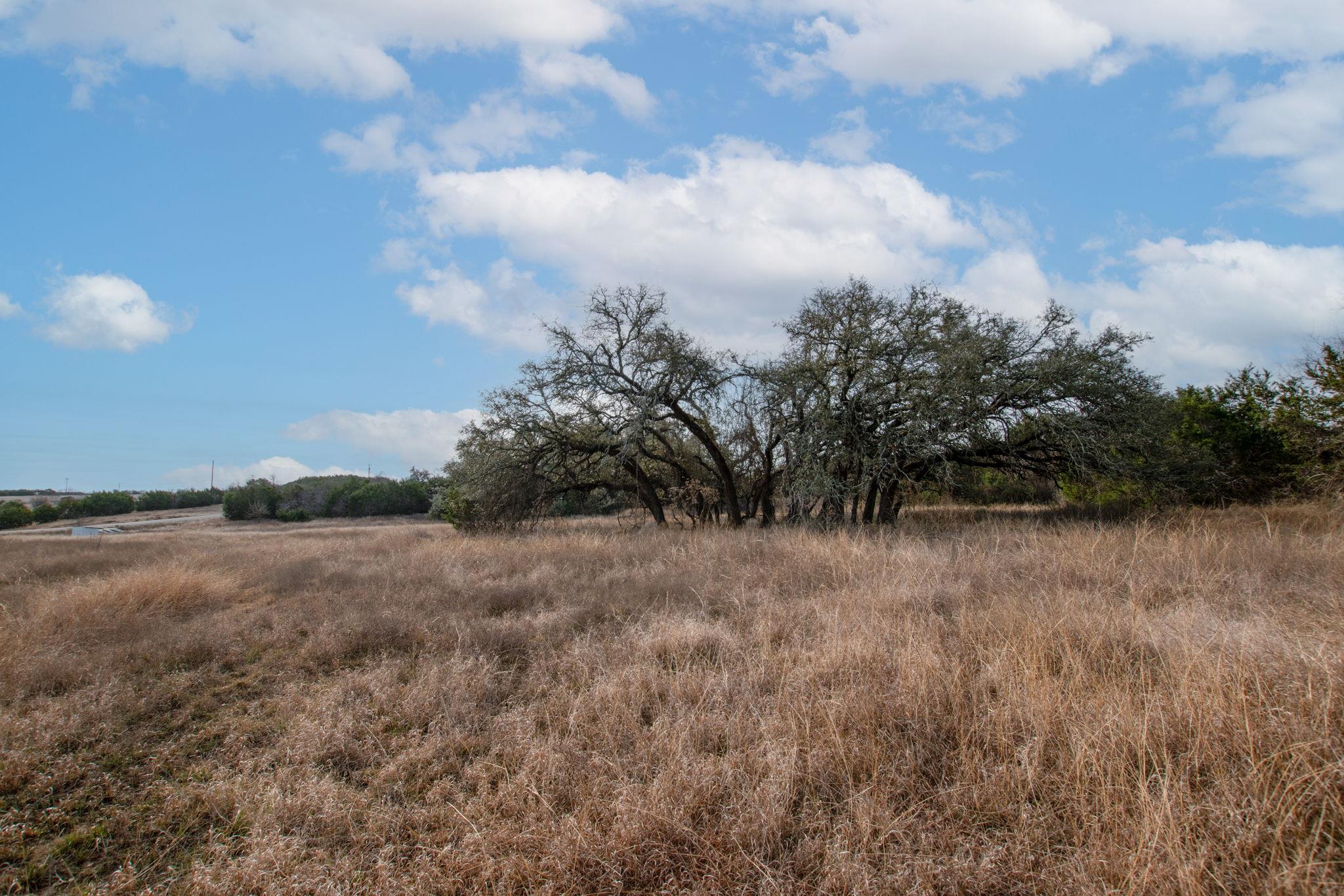 TBD Burnet Oaks Lot 1 Dr, Burnet, TX 78611